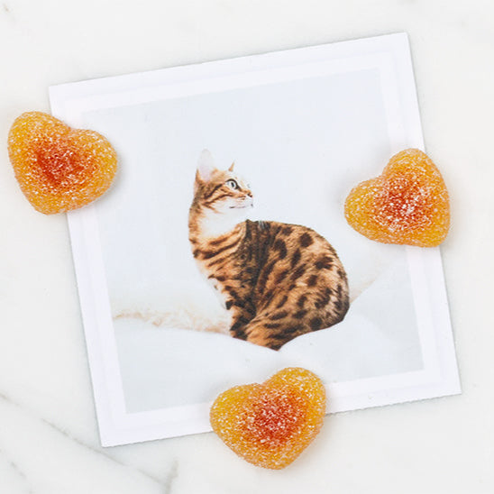 peach_bellini_gummy_hearts