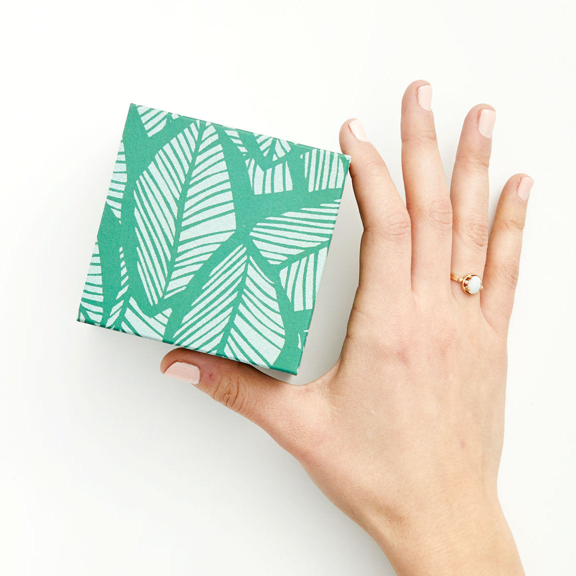 1tropic_leaf_a