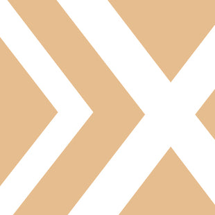 Custom - Interim Execs