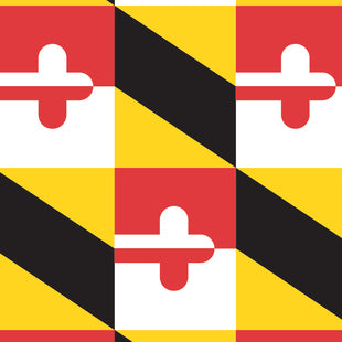Custom - University of Maryland