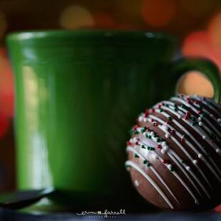 Gourmet Hot Chocolate Bomb